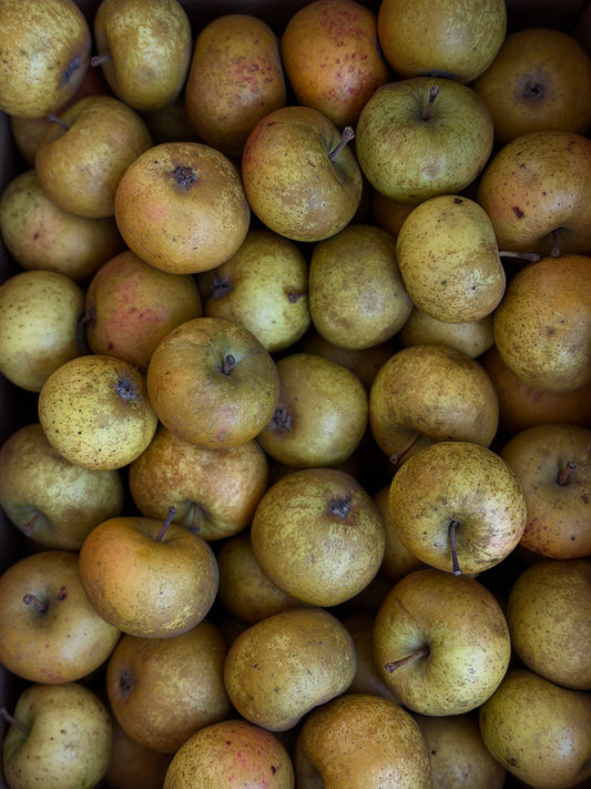 Organic Nonpareil Apples - UK