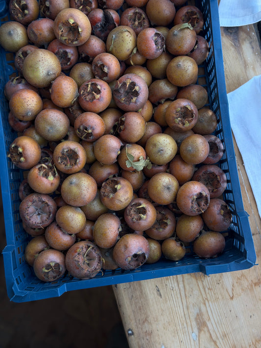Organic Medlars - UK
