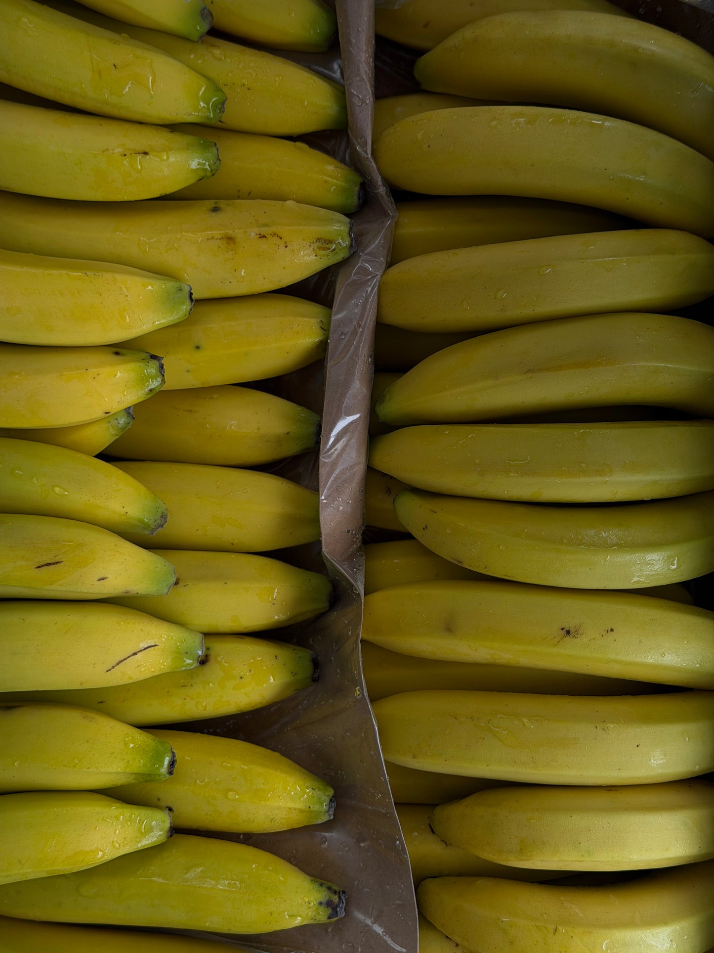 Organic Fairtrade Bananas