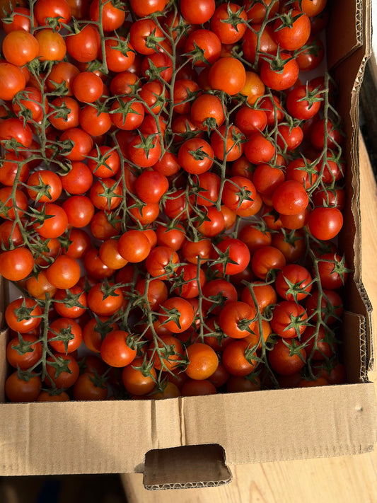 Organic Cherry Vine Tomatoes