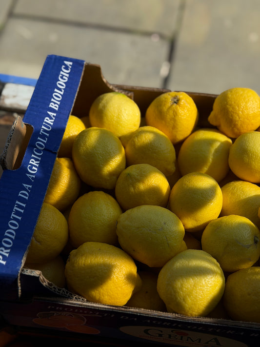 Organic Verna Lemons