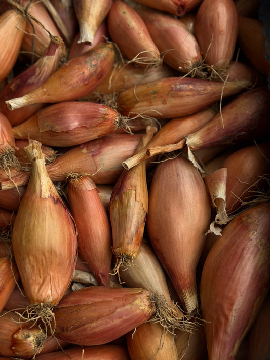 Organic Cuisse de Poulet Shallots - UK