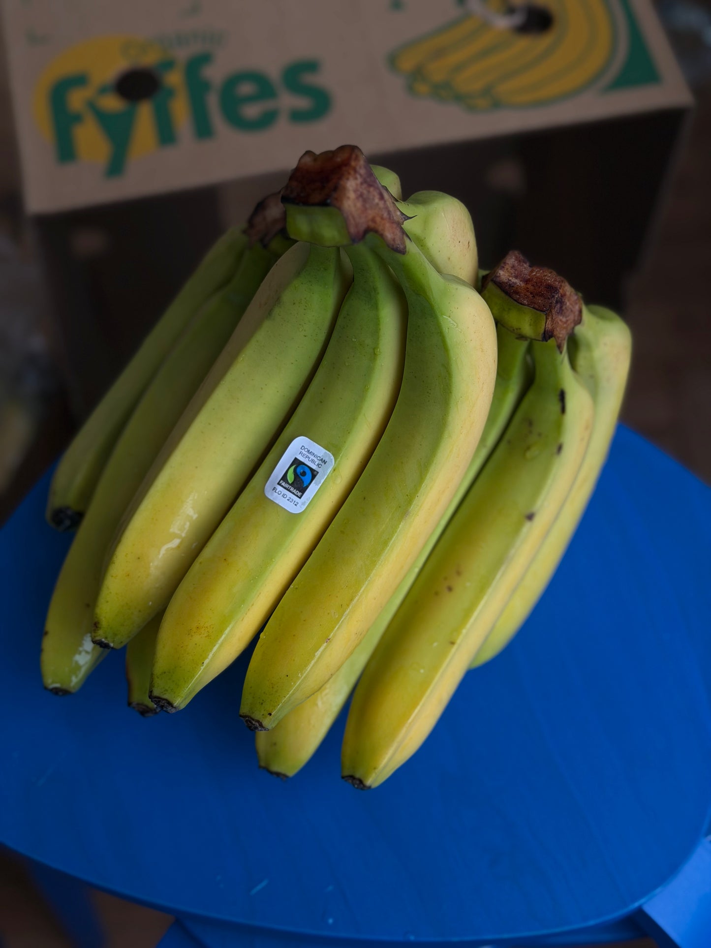 Organic Fairtrade Bananas