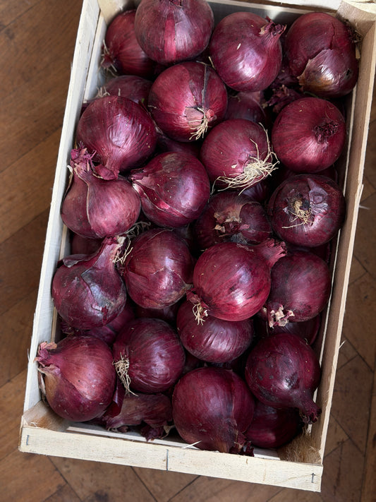 Organic Red Onions