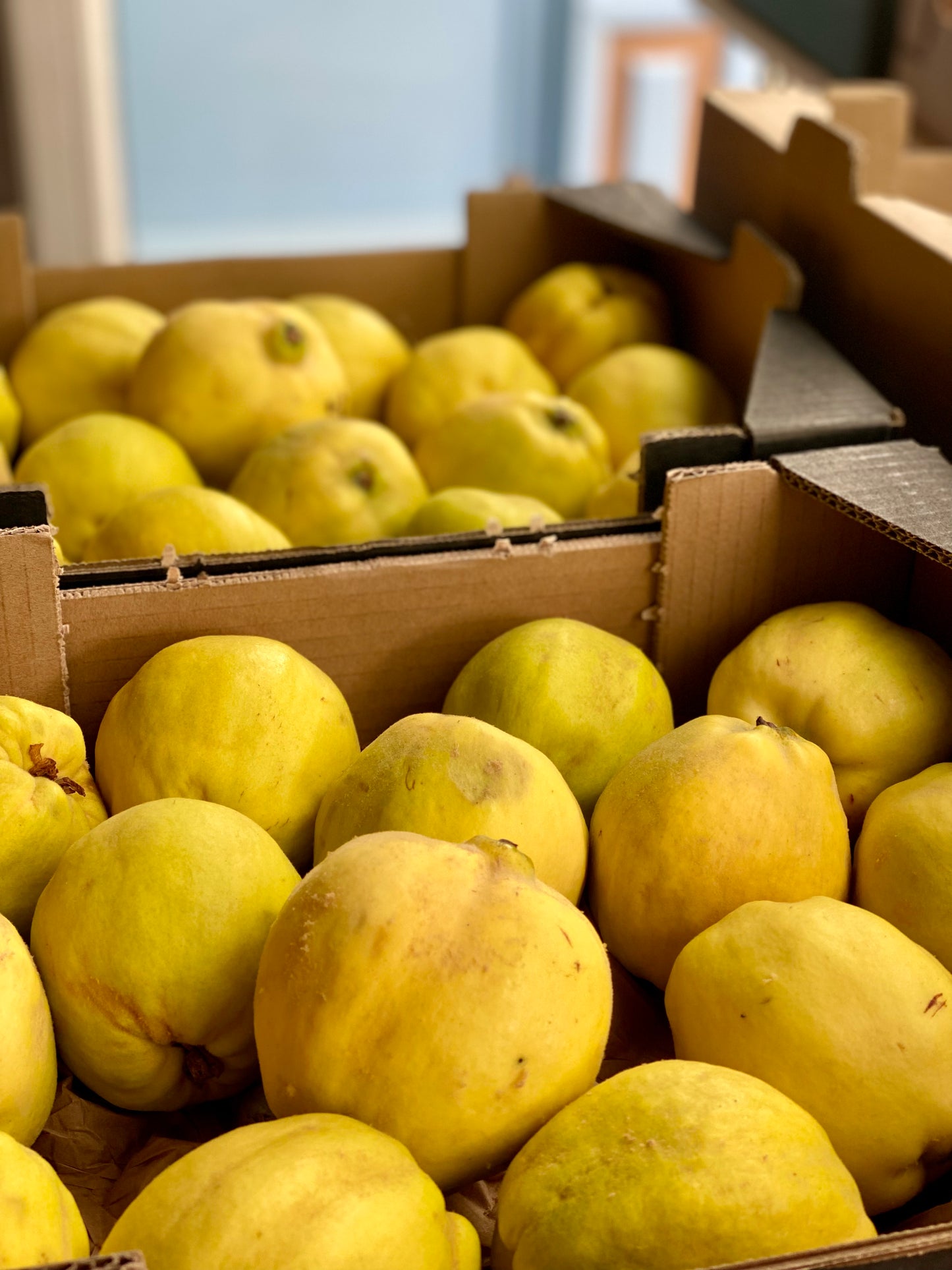 Organic Quince