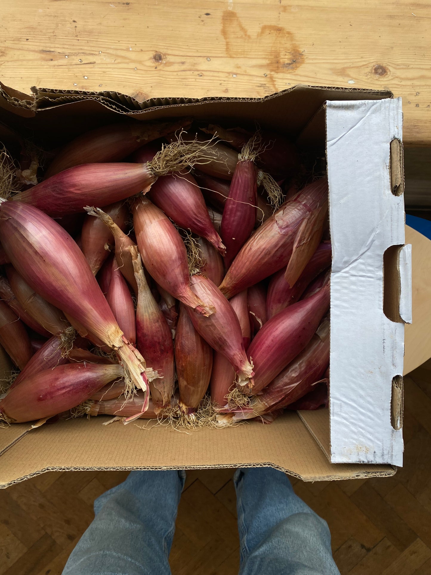 Organic Banana Shallots - UK