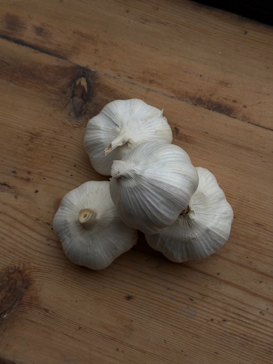 Organic White Garlic