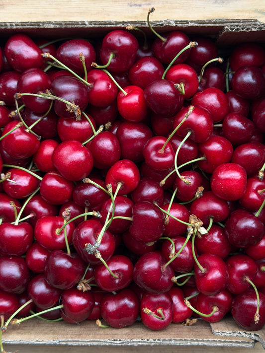 Organic Cherries