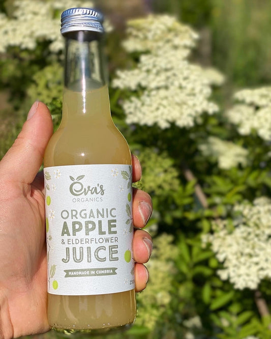 Organic Apple & Elderflower Juice (250ml)