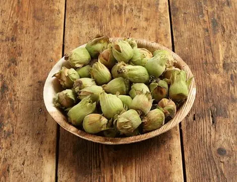 Organic Cobnuts (Fresh Hazelnuts)
