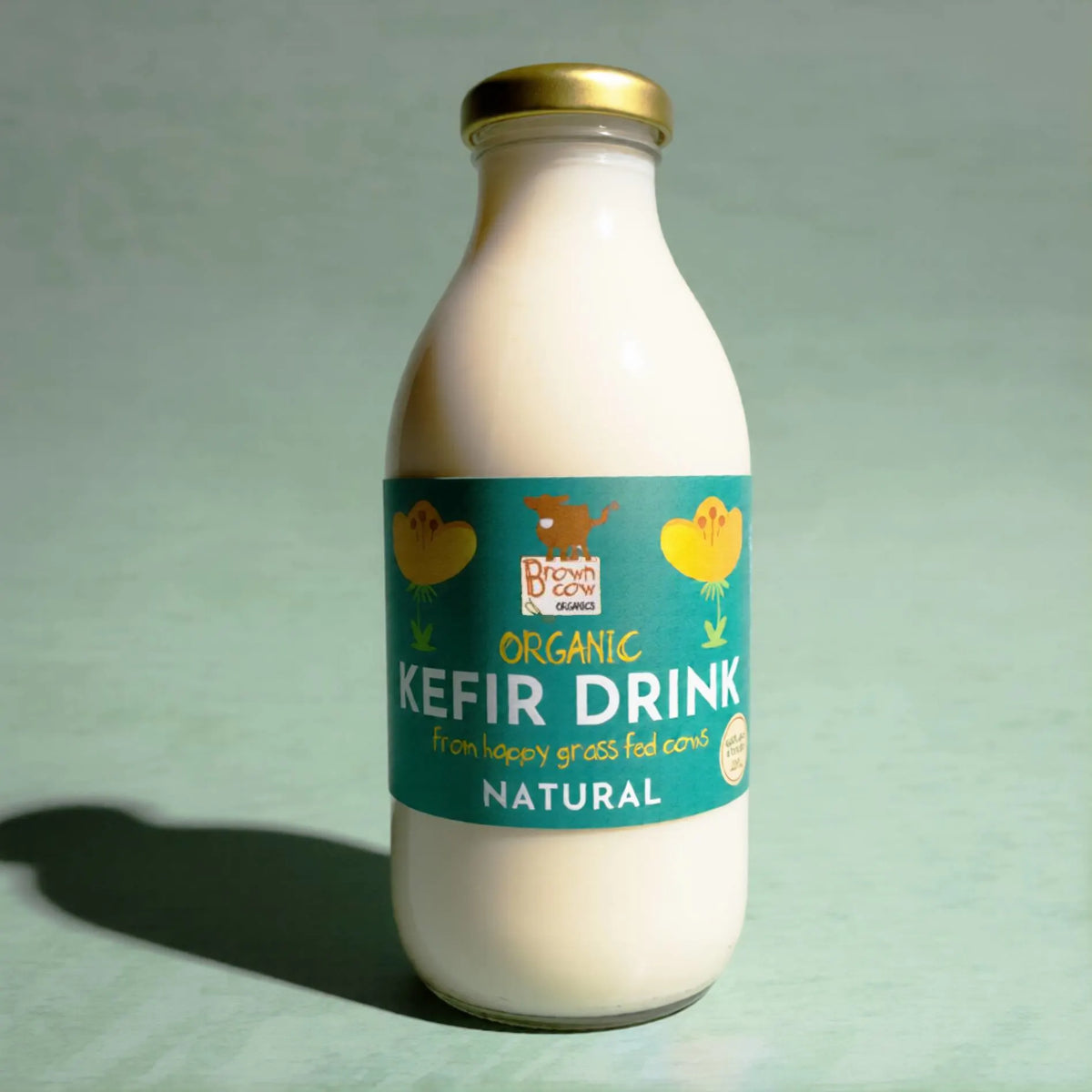 Organic Natural Kefir Drink