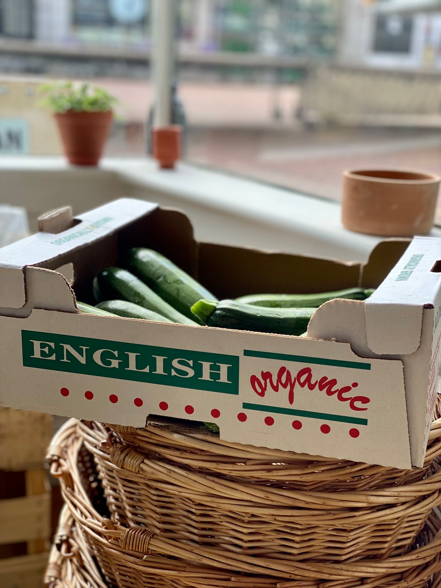 Organic Courgette