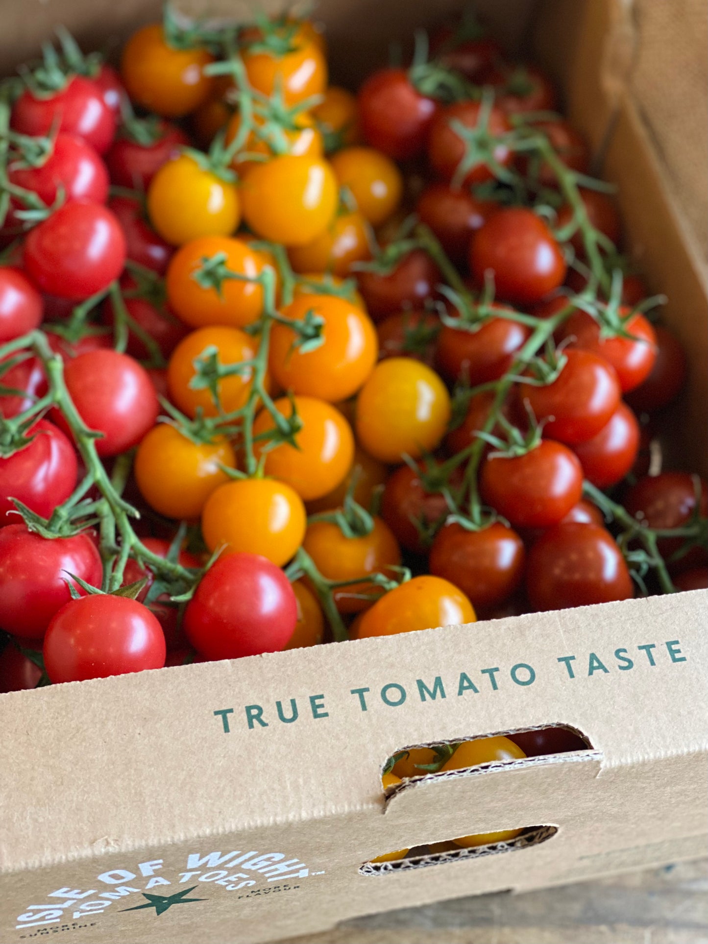 Organic IoW Cherry Vine Tomatoes - UK