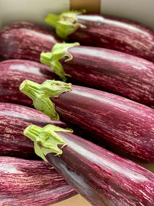 Organic Graffiti Aubergine