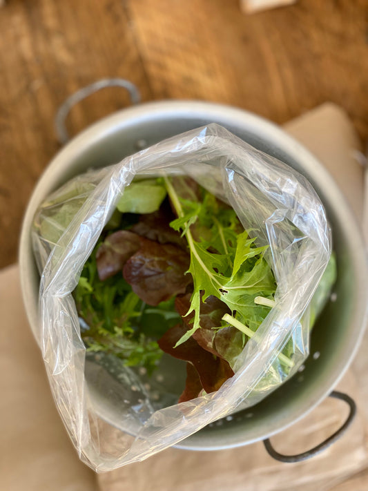 Organic Mixed Salad Leaves - UK