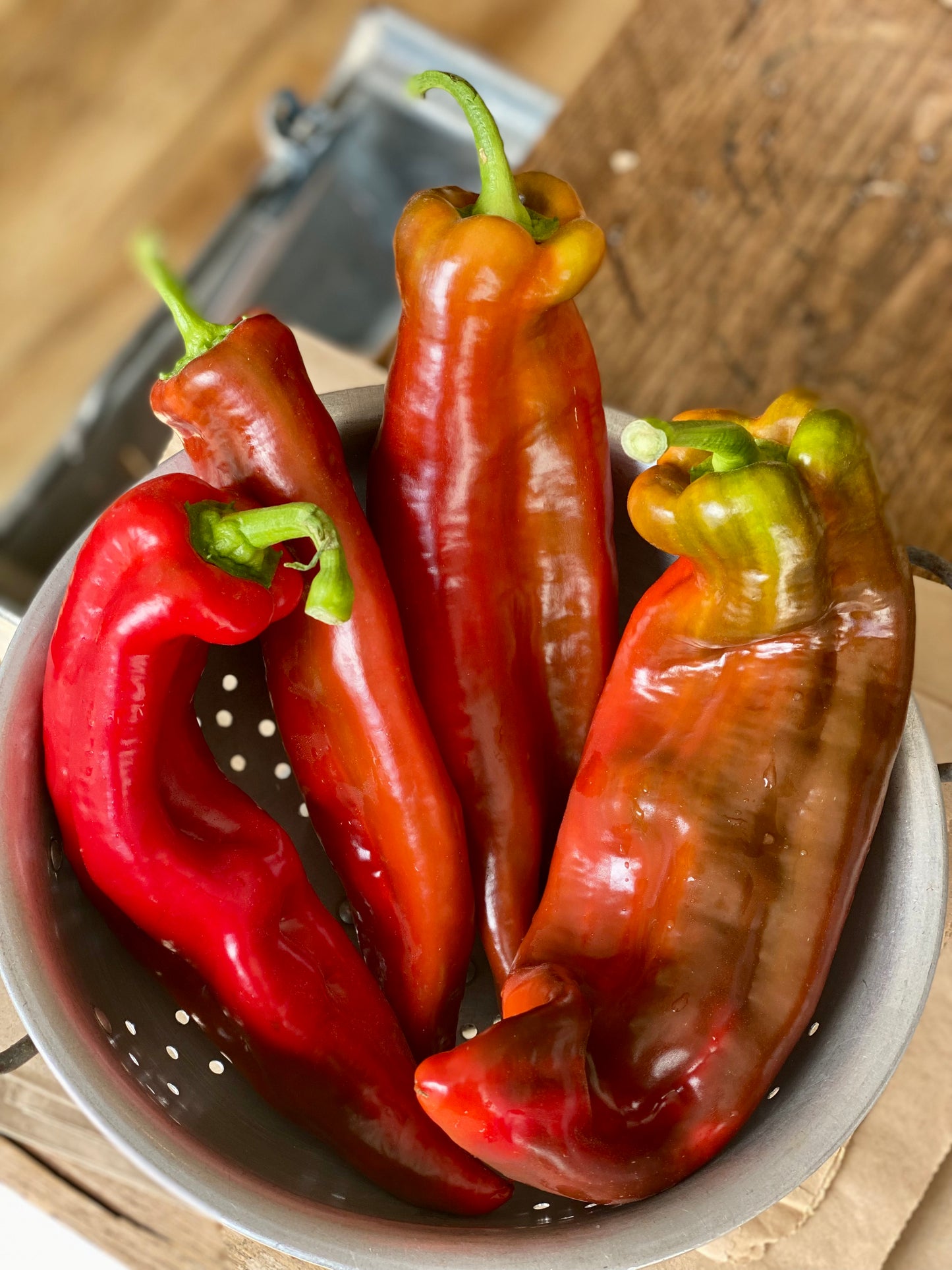 Organic Red Palermo Pepper