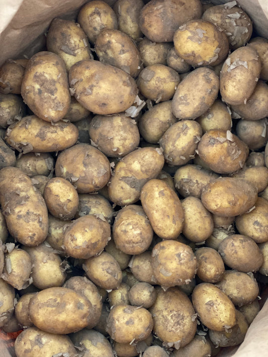 Organic Charlotte Potatoes - UK