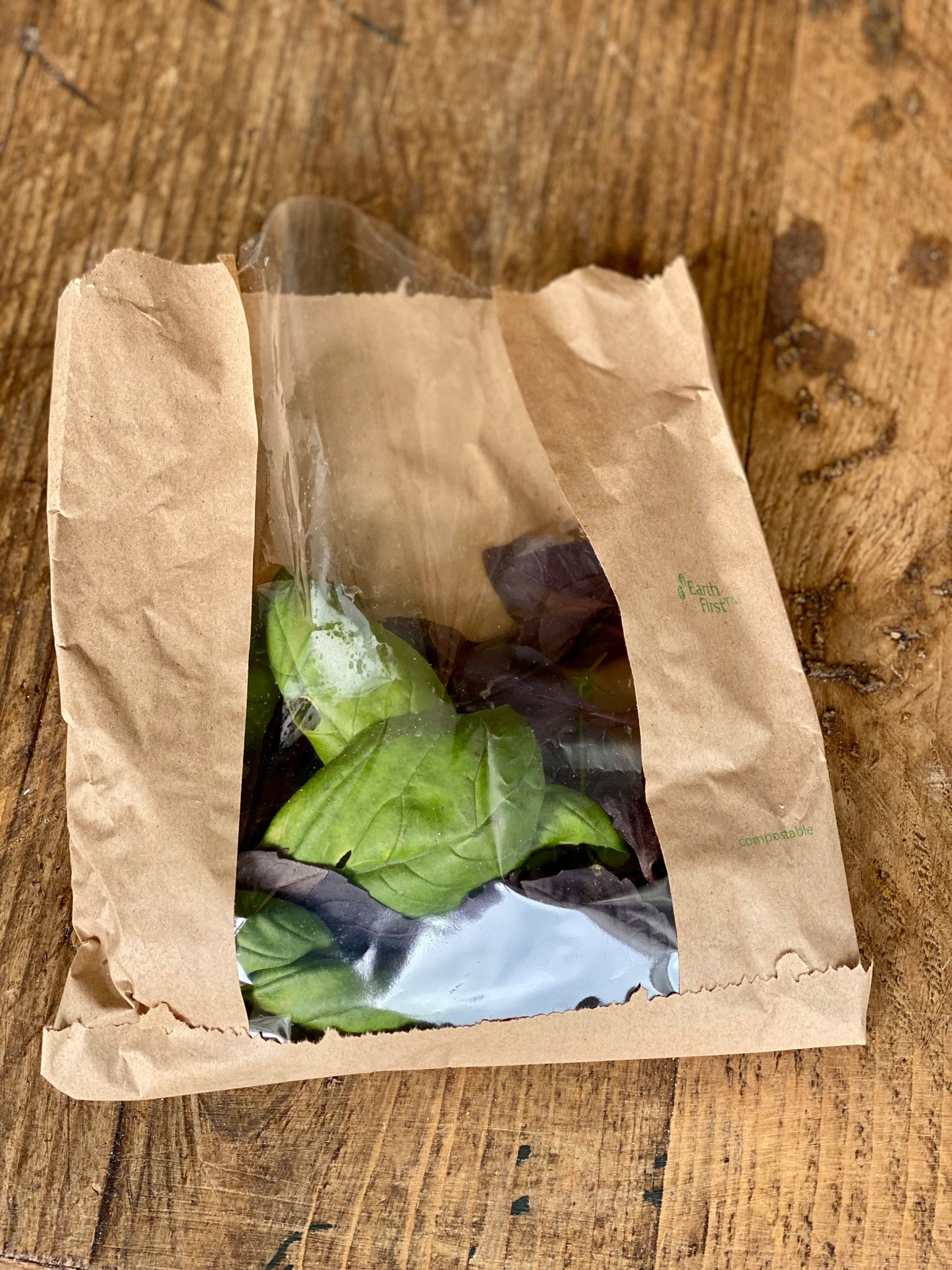 Organic Thai Basil - UK