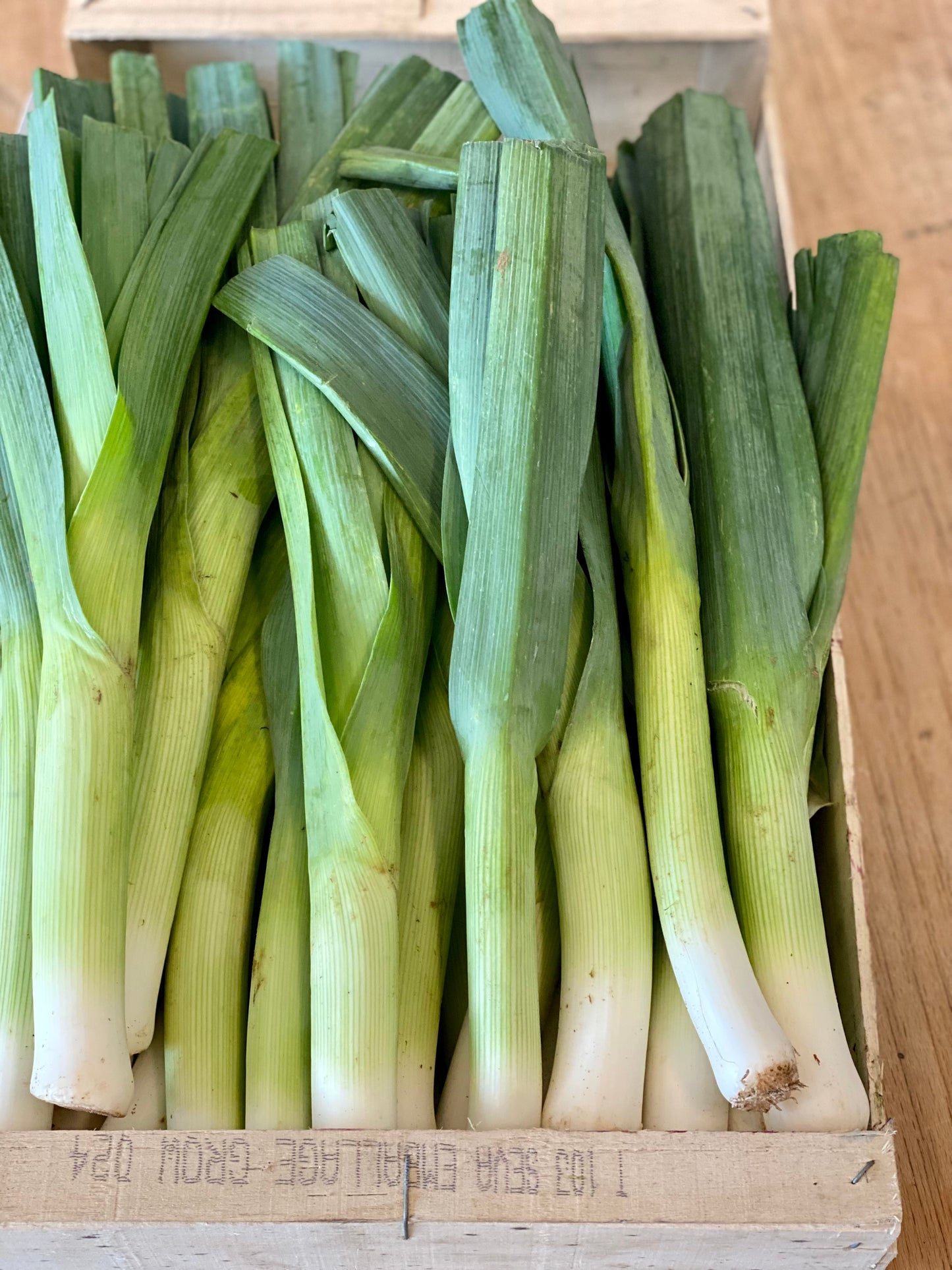Organic Leeks - UK