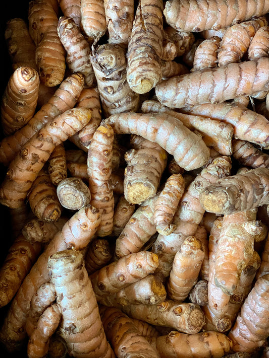 Organic Turmeric Root