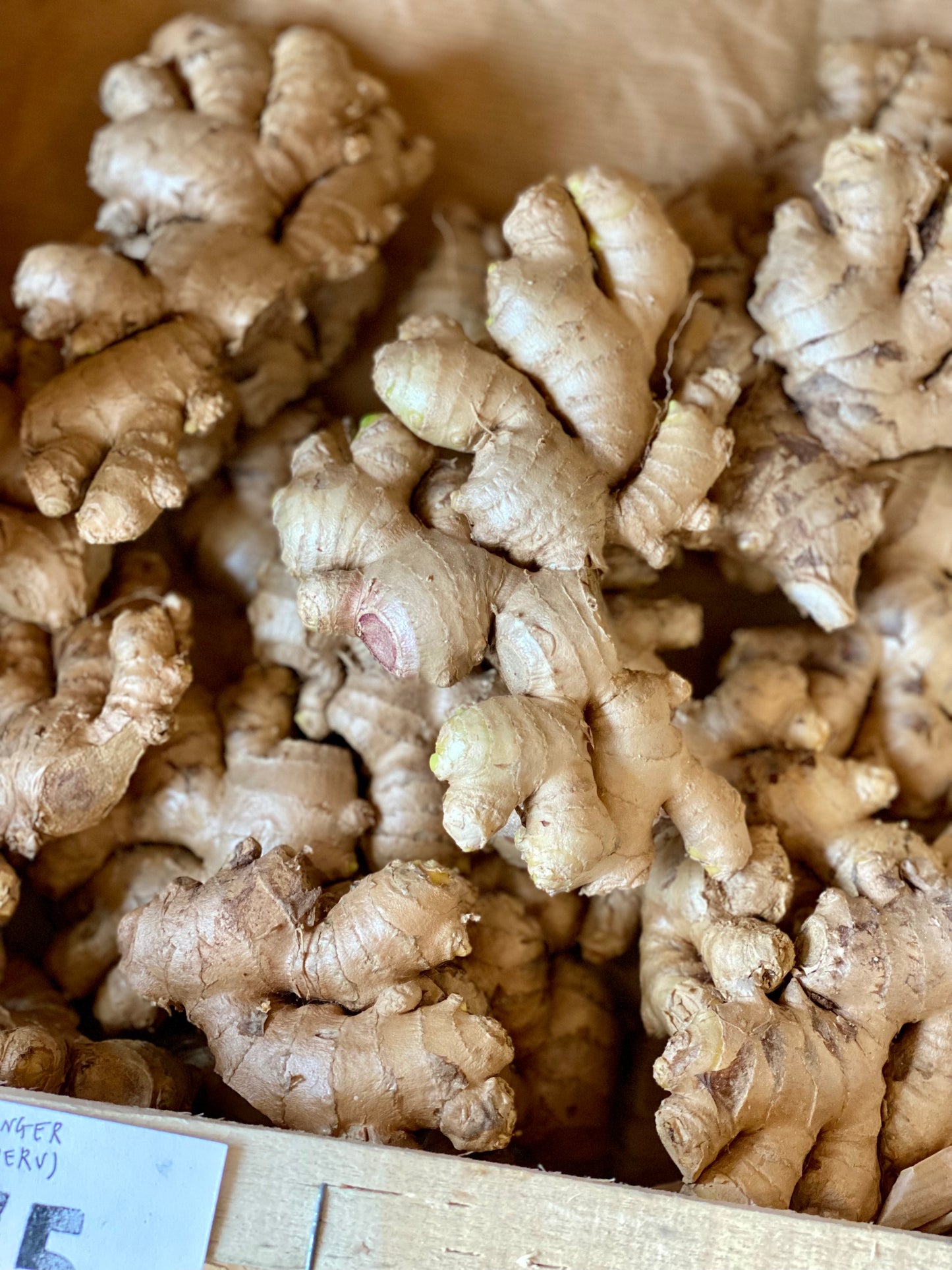 Organic Ginger Root