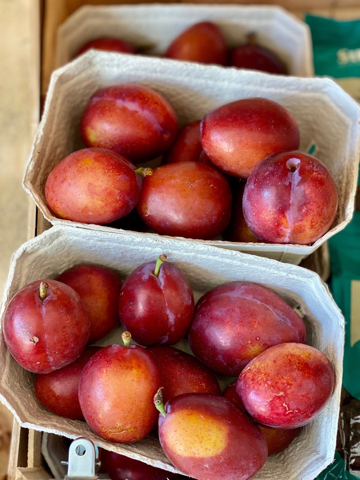 Santa Rosa Plums