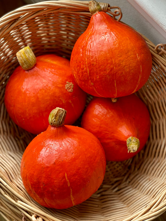 Organic Uchiki Kuri Squash - UK