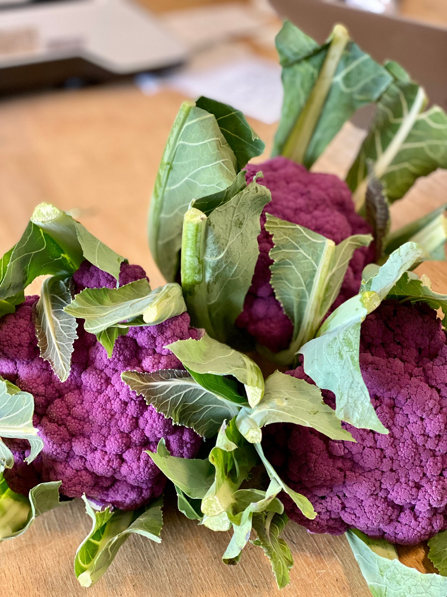 Organic Purple Cauliflower - UK