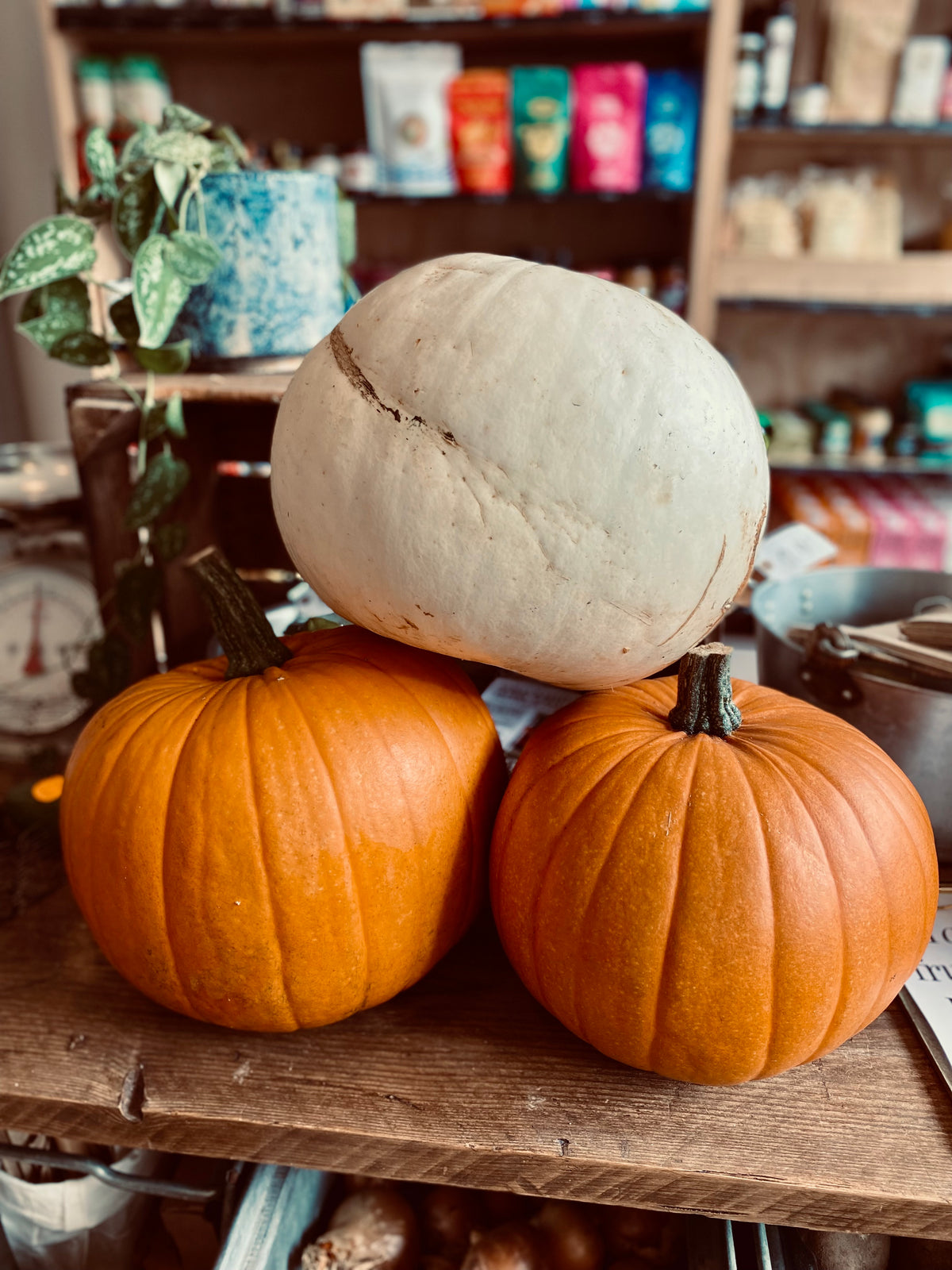 Organic Eating Pumpkin - UK