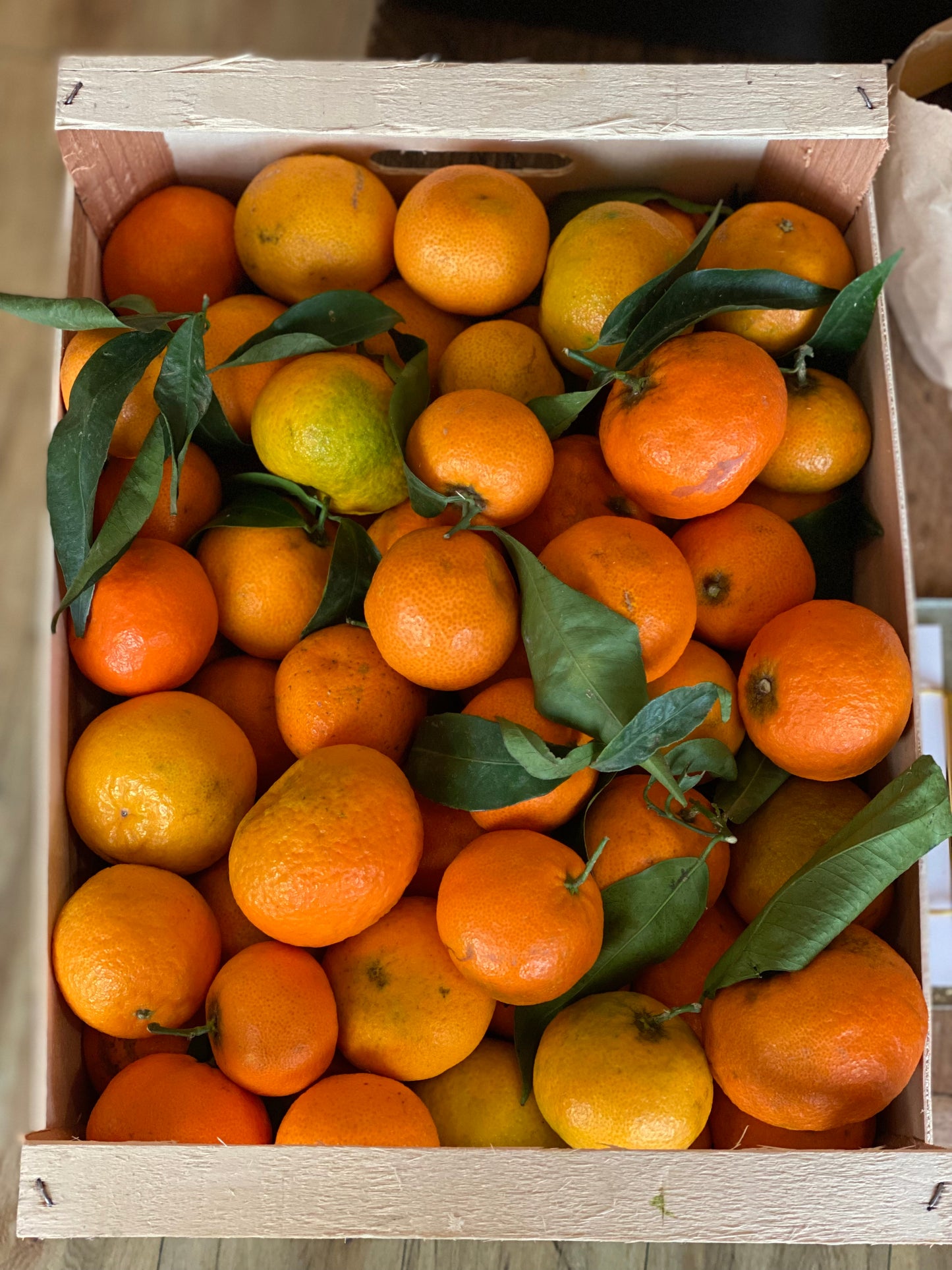 Organic Clementines with Leaf