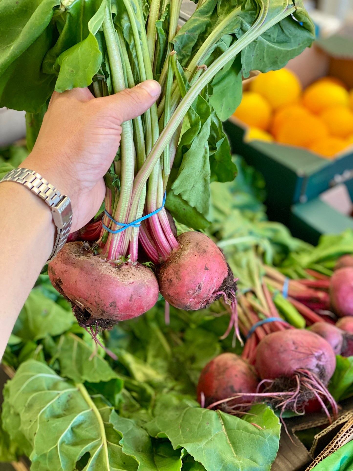 Organic Bunched Chioggia Beetroot - UK