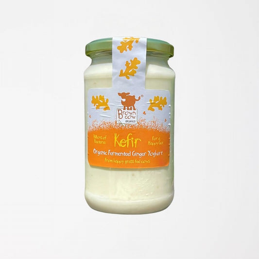 Organic Ginger Kefir Yoghurt