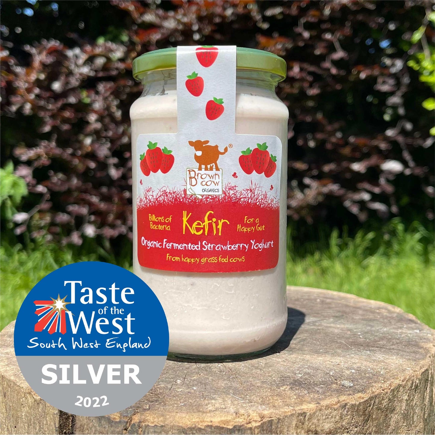 Organic Strawberry Kefir Yoghurt