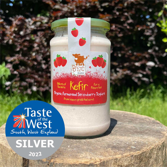 Organic Strawberry Kefir Yoghurt