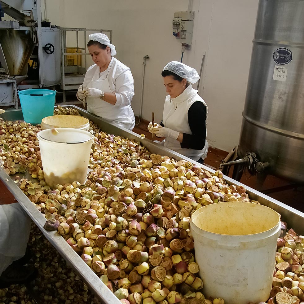 Sicilian Artichoke Hearts in EVOO