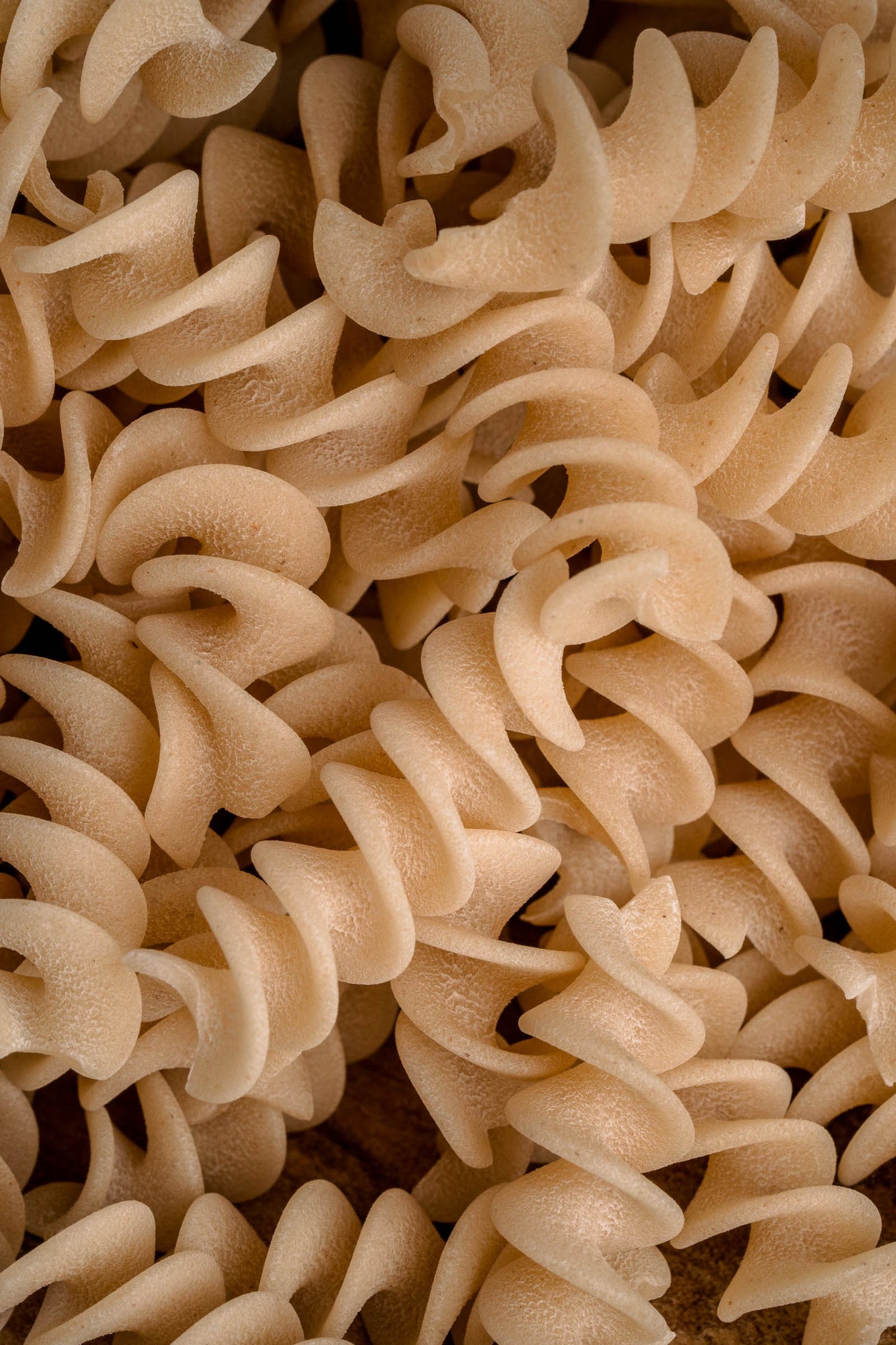 British Spelt Fusilli