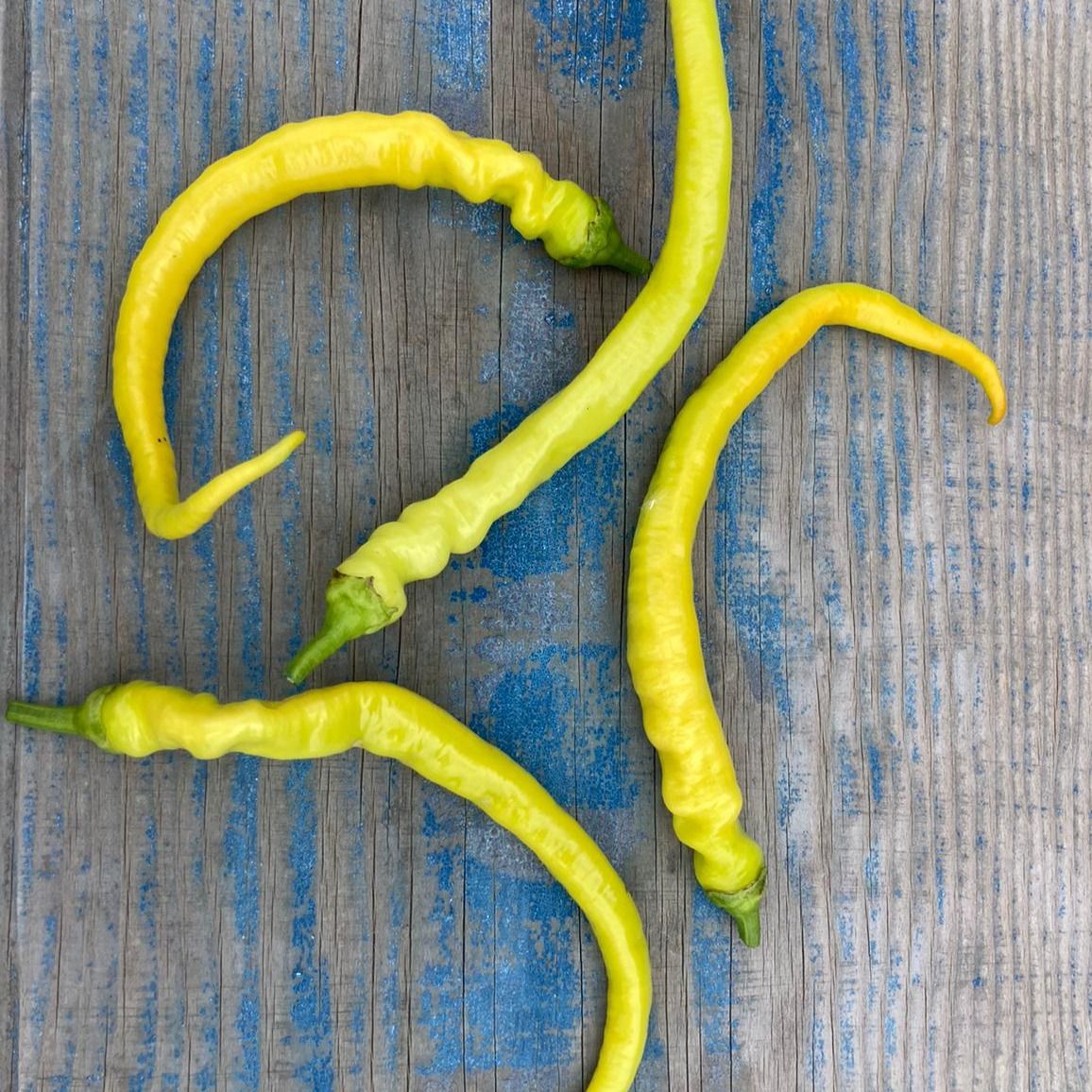 Organic Turkish Goat Horn Peppers - UK