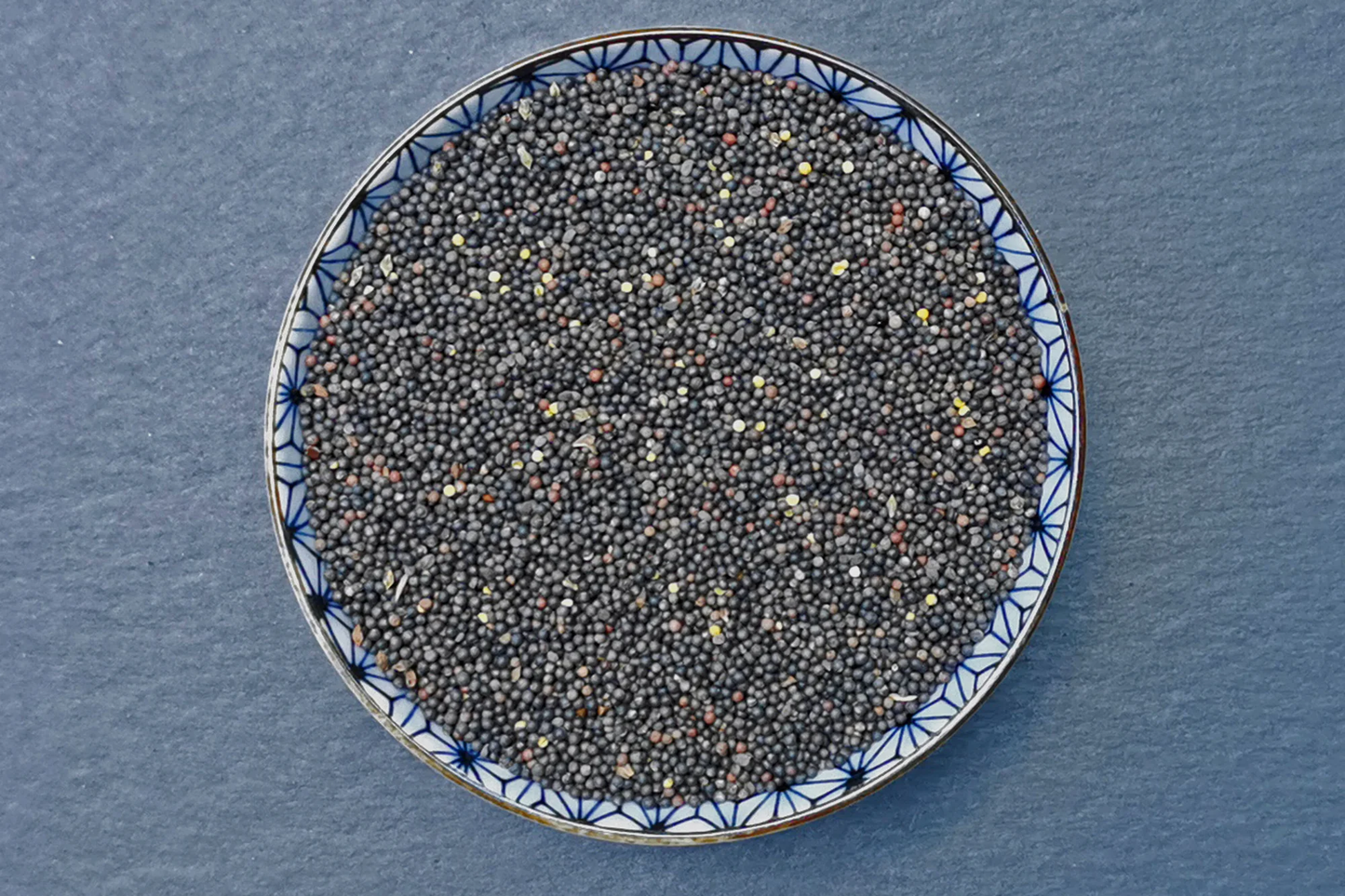 British Wild Mustard Seeds