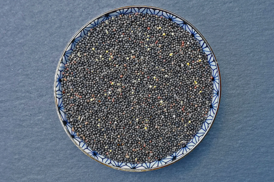British Wild Mustard Seeds