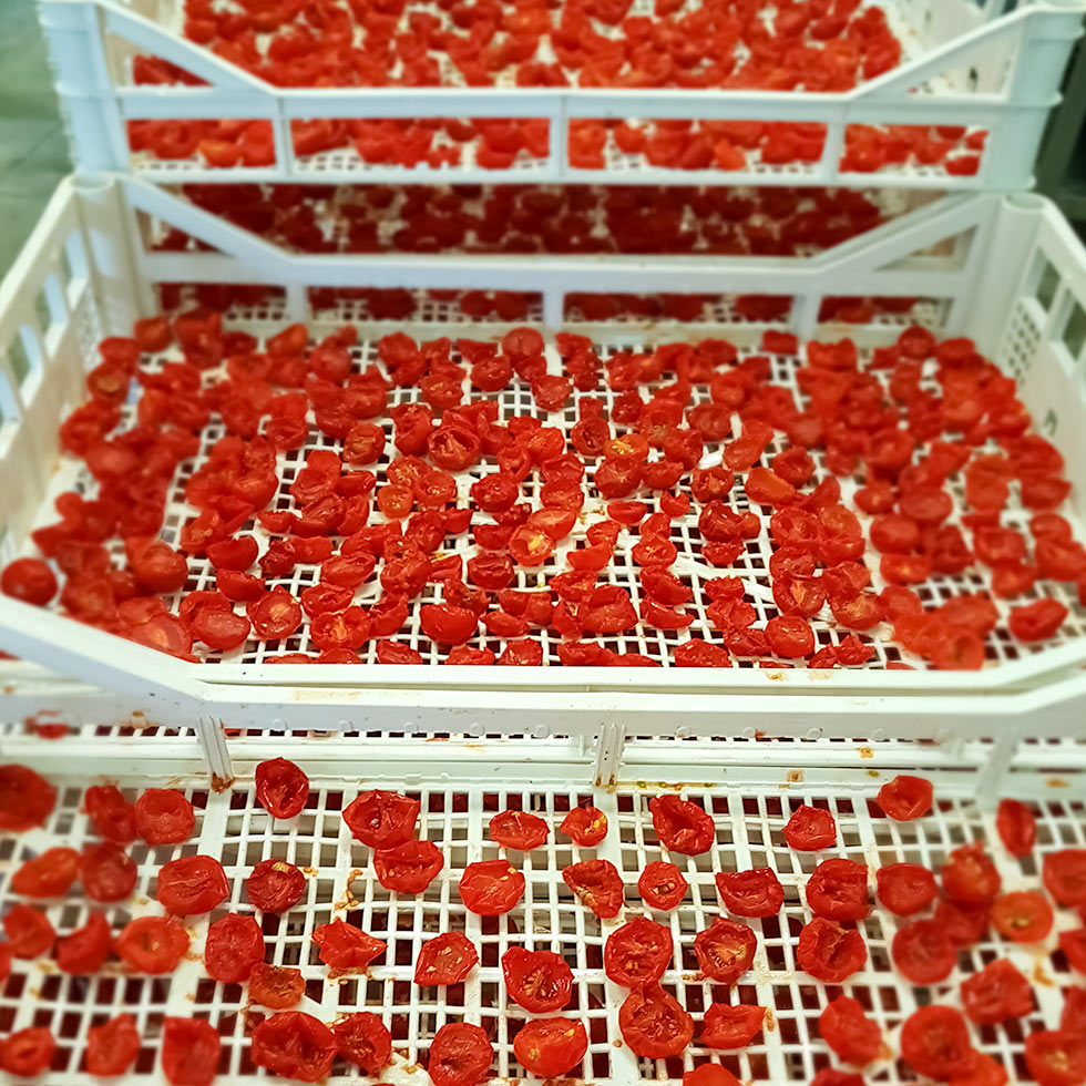 Organic Oven Roasted Tomatoes in EVOO