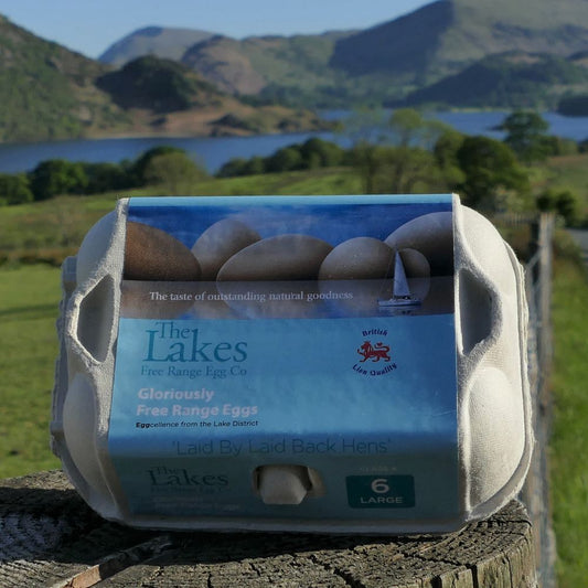 Organic Free Range Eggs x6