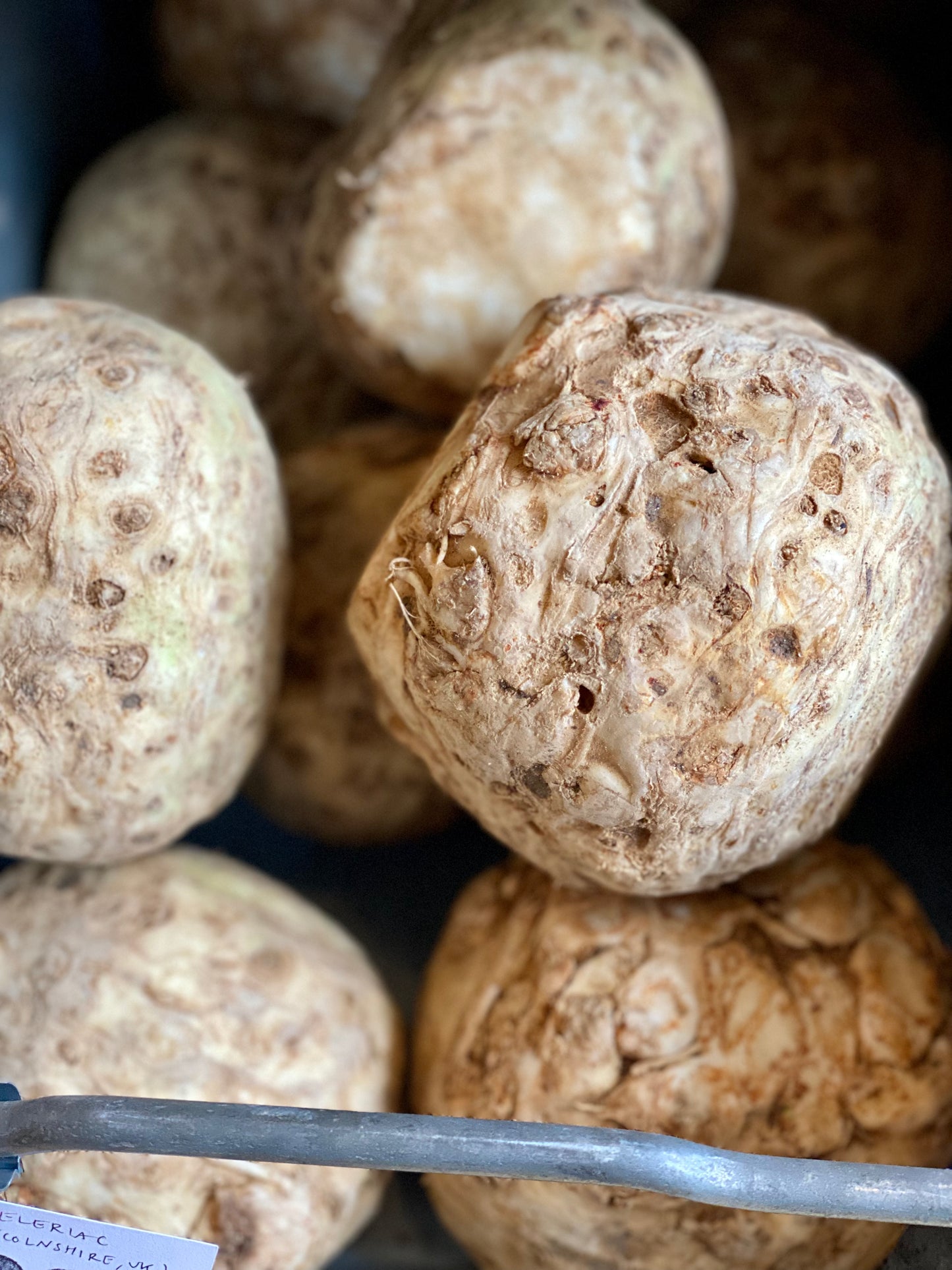 Organic Celeriac - UK