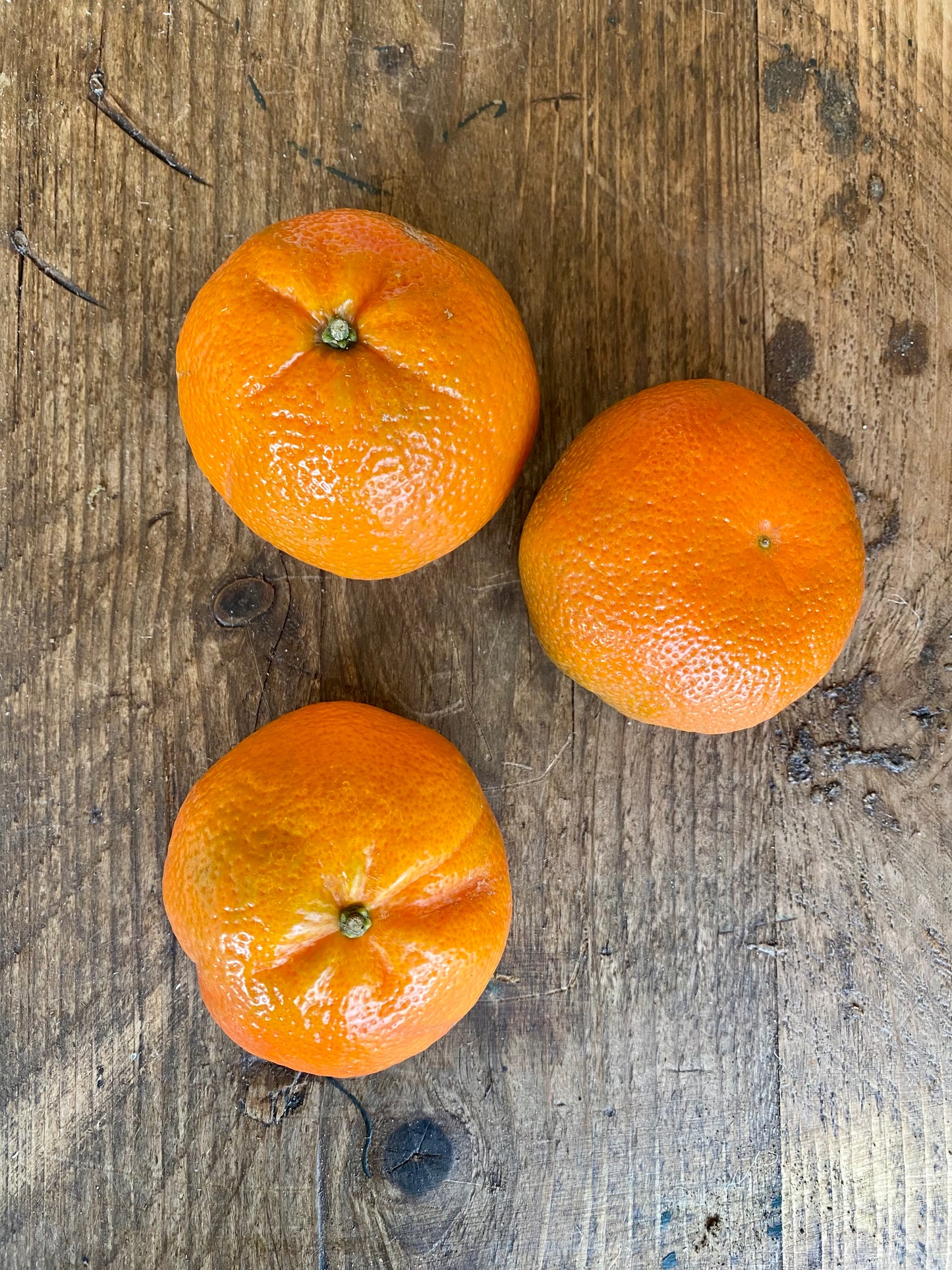 Organic Clementines with Leaf