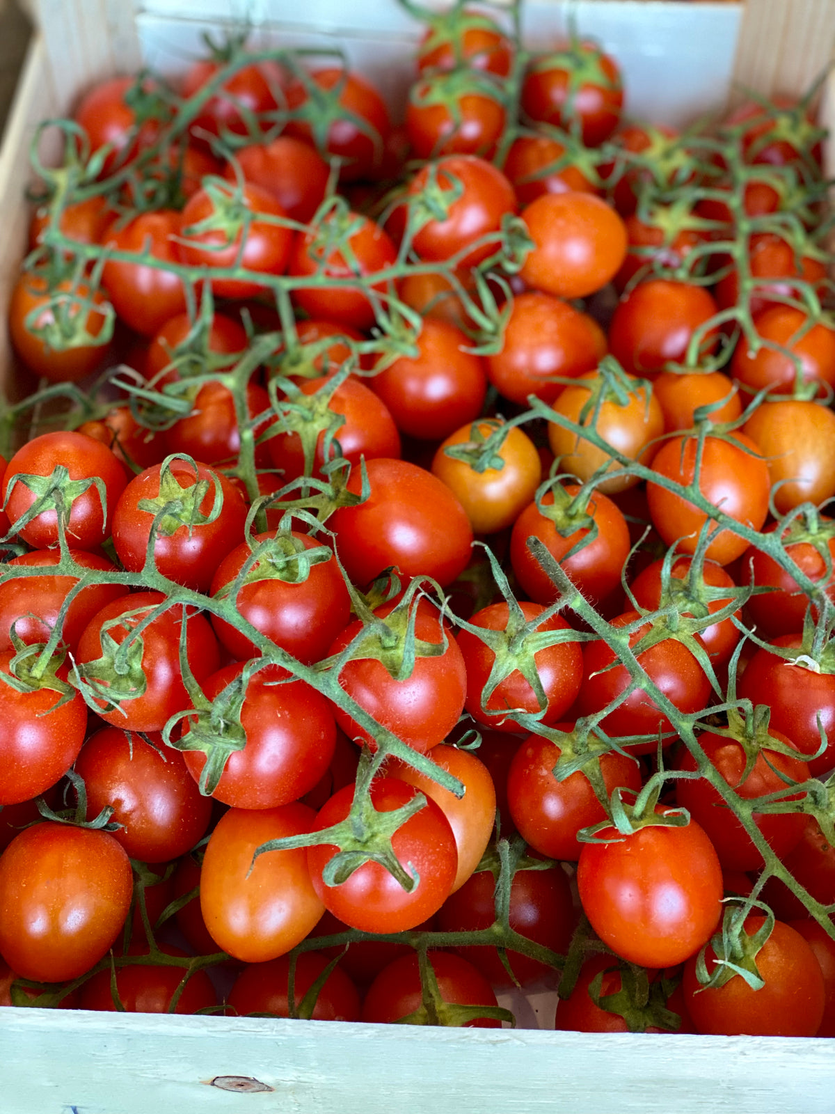 Organic Baby Plum Tomatoes