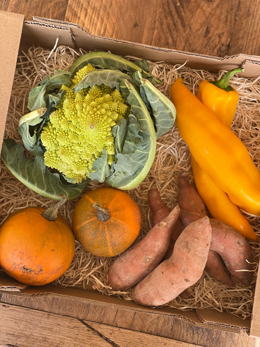 Organic Zero Waste Box