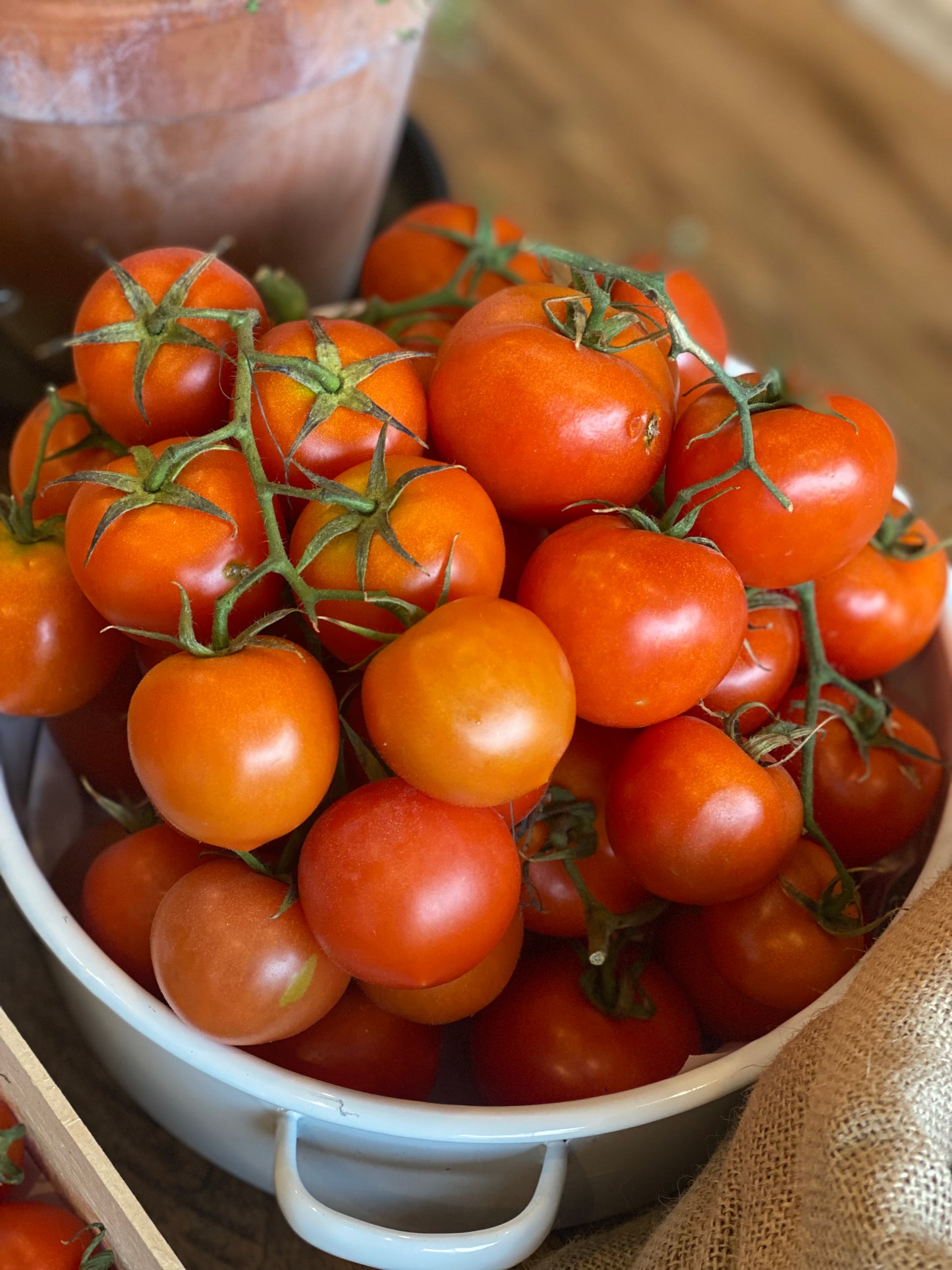 Organic Vine Tomatoes