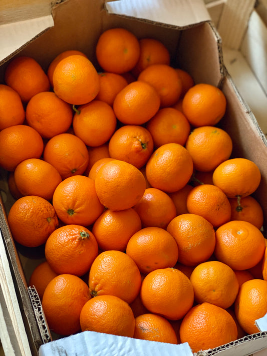 Organic Nadorcot Clementines
