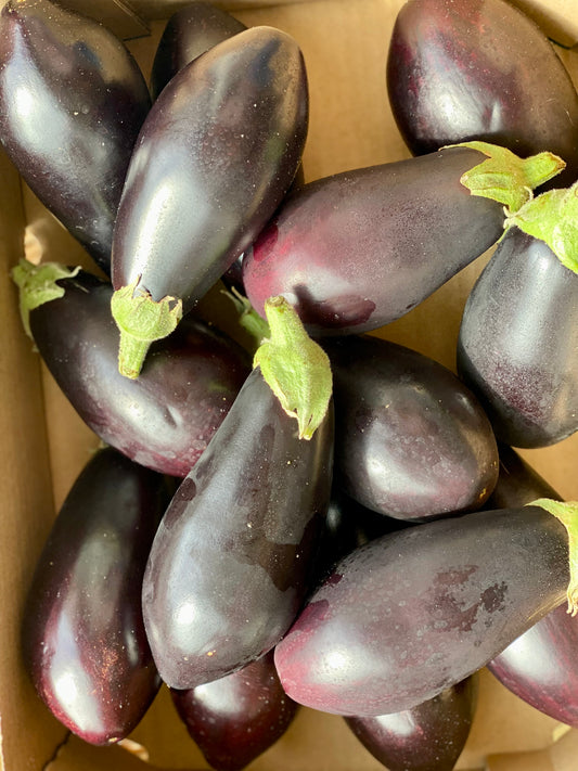 Organic Aubergine - UK