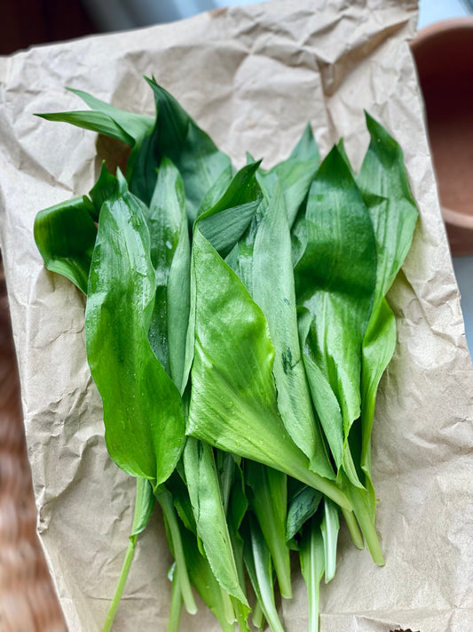 Wild Garlic