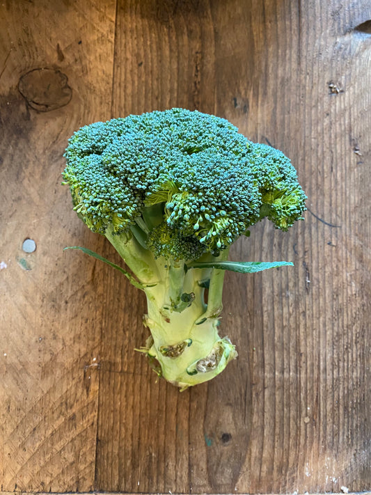 Organic Broccoli - UK